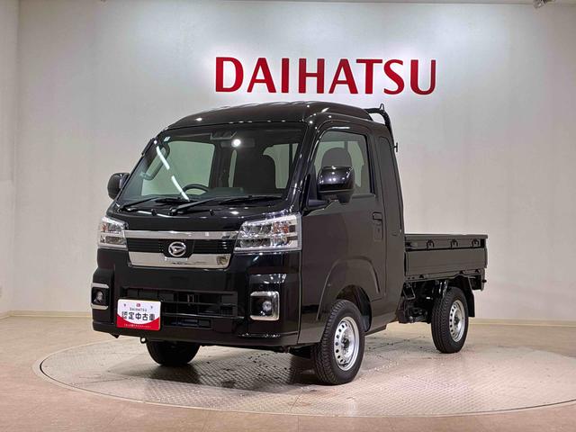 ハイゼットトラックジャンボエクストラ（北海道）の中古車