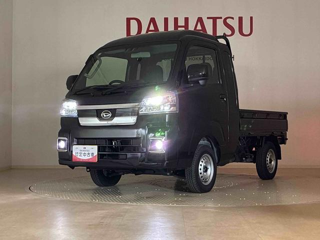 ハイゼットトラックジャンボエクストラ（北海道）の中古車