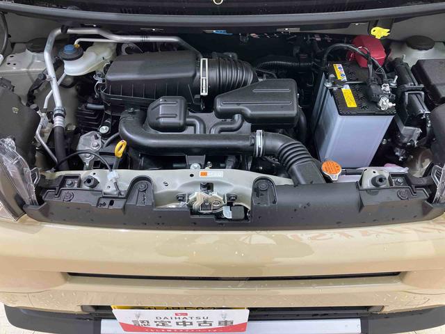 タフトＧ　クロムベンチャー（北海道）の中古車