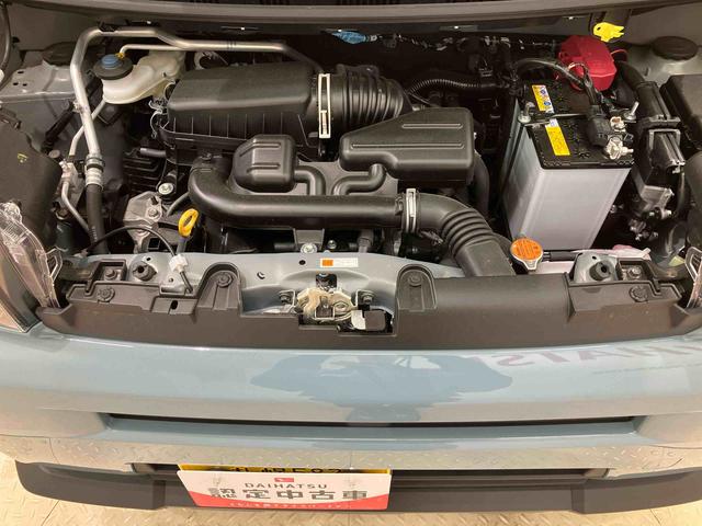 タフトX(北海道)の中古車