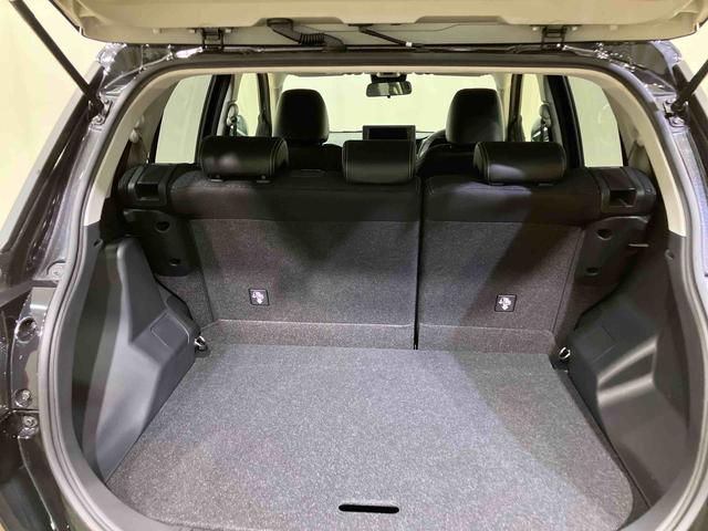 ロッキープレミアムＧ（北海道）の中古車