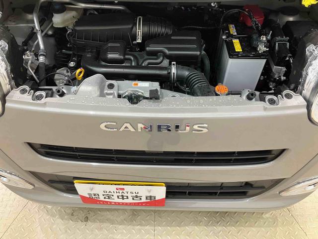ムーヴキャンバスセオリーＧ（北海道）の中古車