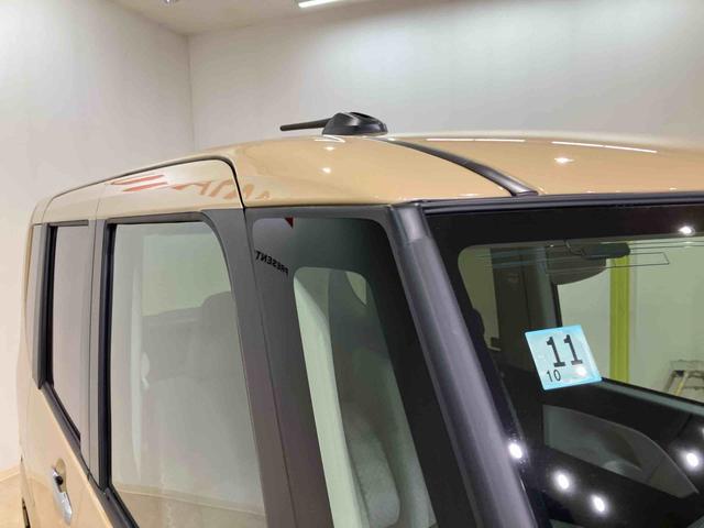 タントＸ（北海道）の中古車