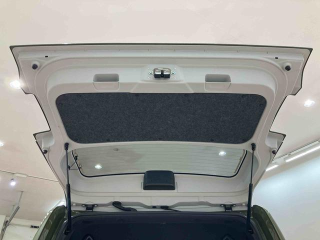 タフトＧターボ　クロムベンチャー（北海道）の中古車