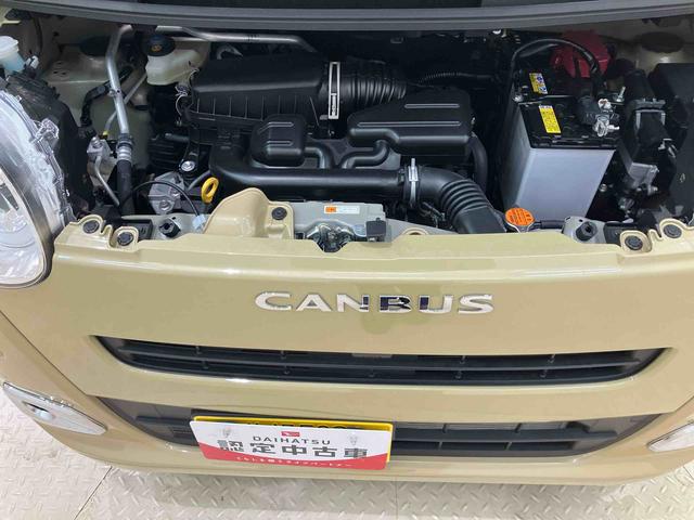 ムーヴキャンバスセオリーＧ（北海道）の中古車
