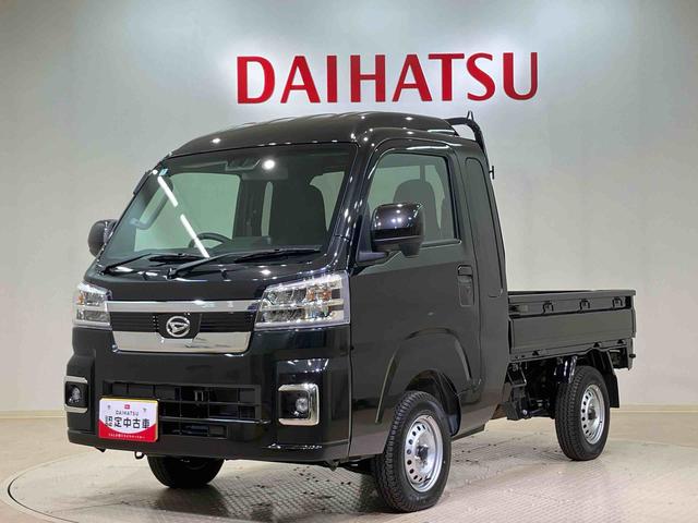 ハイゼットトラックジャンボエクストラ（北海道）の中古車