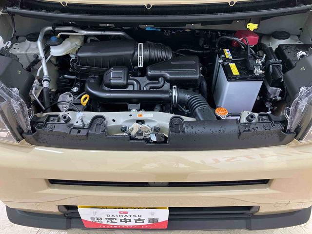タフトＧ（北海道）の中古車