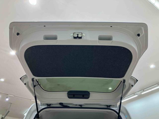 タントウェルカムシートリフトX(北海道)の中古車