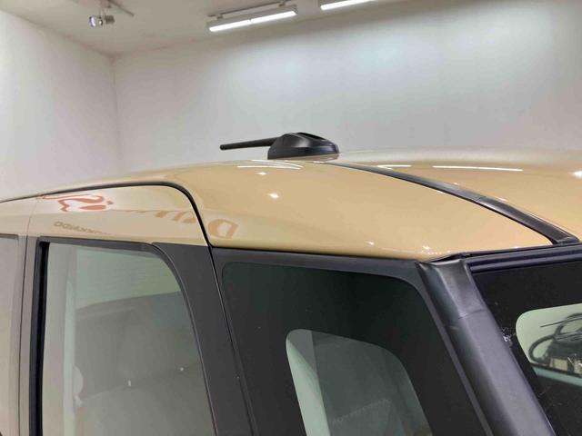 タントＸ（北海道）の中古車