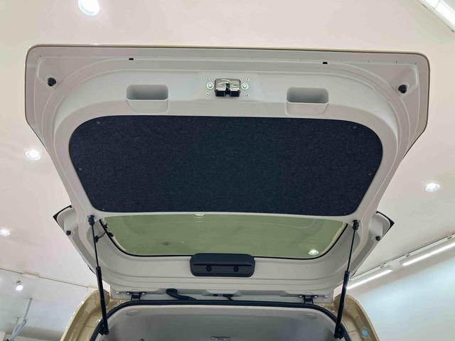 タントＸ（北海道）の中古車