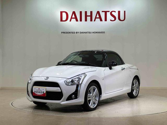 コペンローブ(北海道)の中古車
