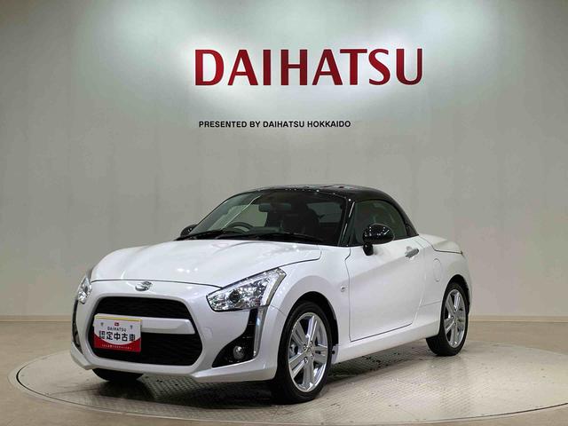 コペンローブ S(北海道)の中古車
