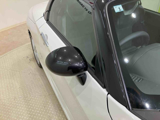 コペンローブ S(北海道)の中古車