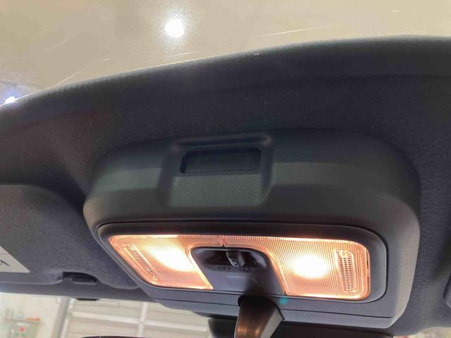 タフトＧターボ　クロムベンチャー（北海道）の中古車