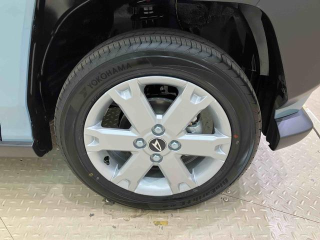 タフトＧターボ　クロムベンチャー（北海道）の中古車