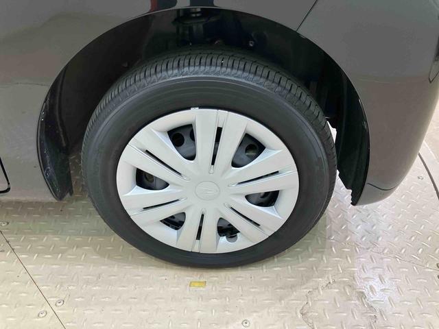 タントＸ（北海道）の中古車