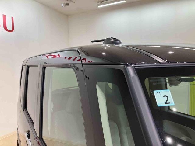 タントＸ（北海道）の中古車