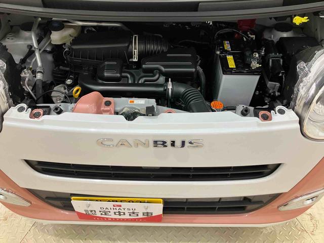 ムーヴキャンバスストライプスＧ（北海道）の中古車