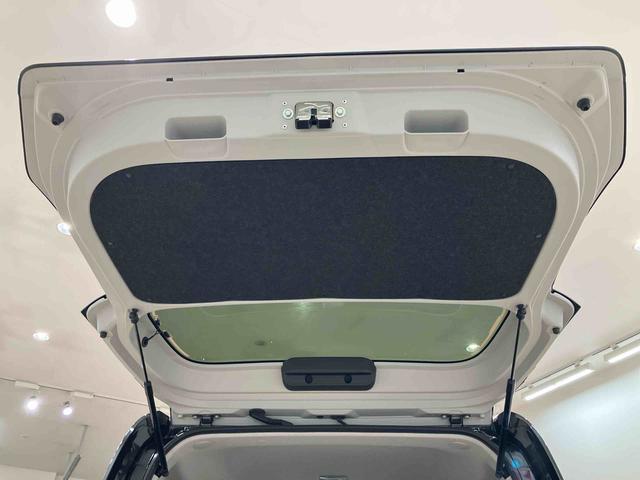 タントX(北海道)の中古車