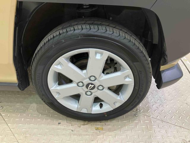 タフトG クロムベンチャー(北海道)の中古車