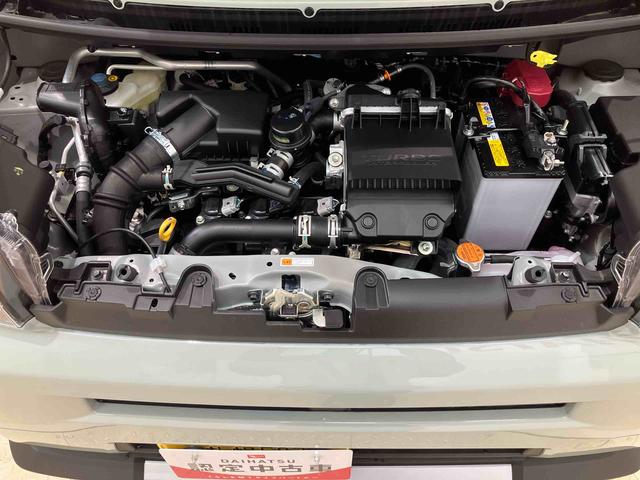 タフトGターボ クロムベンチャー(北海道)の中古車