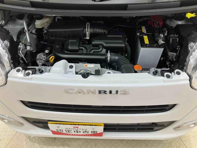 ムーヴキャンバスセオリーＧ（北海道）の中古車