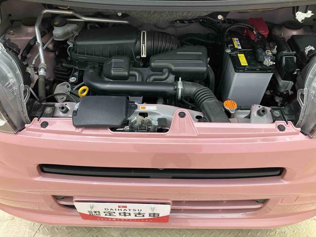 タントＸ（北海道）の中古車