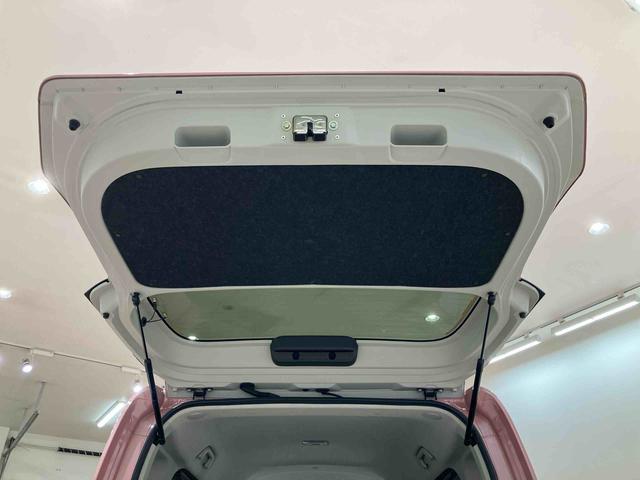 タントＸ（北海道）の中古車