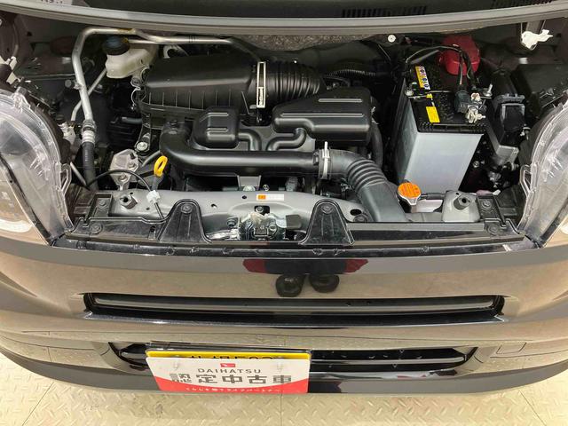 タントウェルカムシートリフトＸ（北海道）の中古車