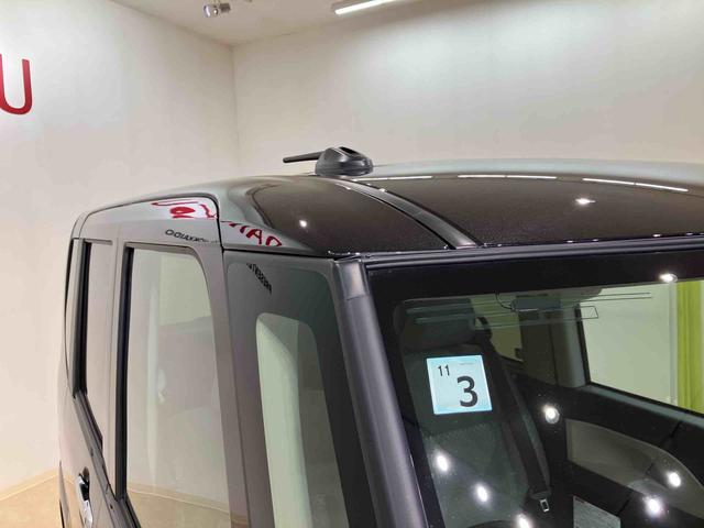 タントウェルカムシートリフトＸ（北海道）の中古車