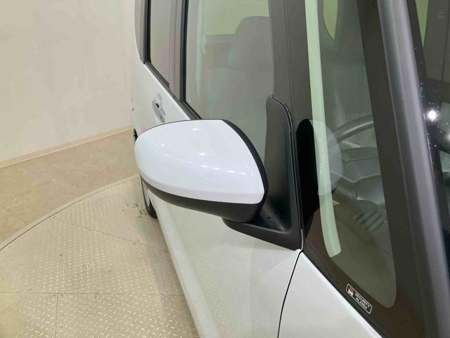 タントウェルカムターンシートX(北海道)の中古車