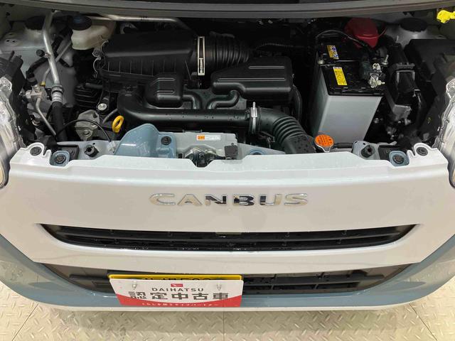 ムーヴキャンバスストライプスＸ（北海道）の中古車