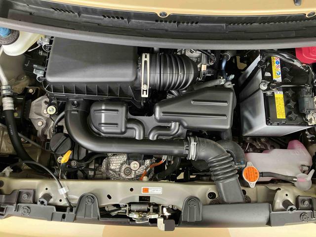 タフトG ダーククロムベンチャースマートアシスト付き シートヒーター スカイフィールトップ 電動パーキングブレーキ コーナーセンサー オートライト・ハイビーム LEDヘッドランプ キーフリー アルミホイール(鳥取県)の中古車