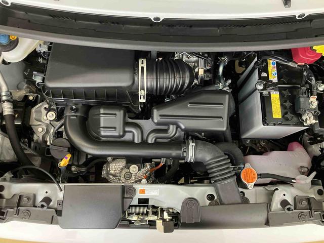 タフトＧ　ダーククロムベンチャースマートアシスト付き　シートヒーター　スカイフィールトップ　電動パーキングブレーキ　コーナーセンサー　オートライト・ハイビーム　ＬＥＤヘッドランプ　キーフリー　アルミホイール（鳥取県）の中古車