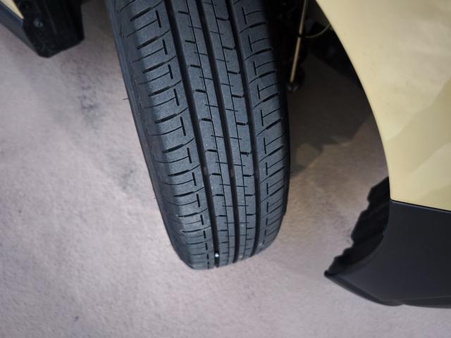 タントファンクロス(埼玉県)の中古車