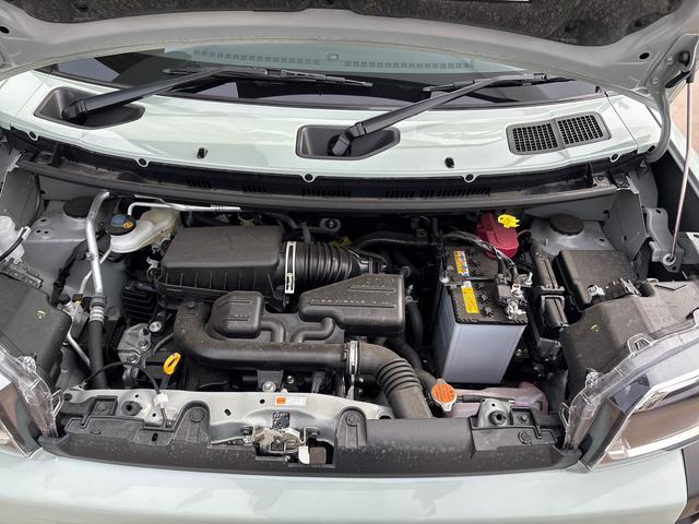 タフトＧ　クロムベンチャー純正ナビ　バックカメラ　シートヒーター付き　走行距離６７５ｋｍ　サンルーフ　車検令和１０年６月　修復歴なし（埼玉県）の中古車