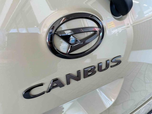 ムーヴキャンバスセオリーＧ（埼玉県）の中古車