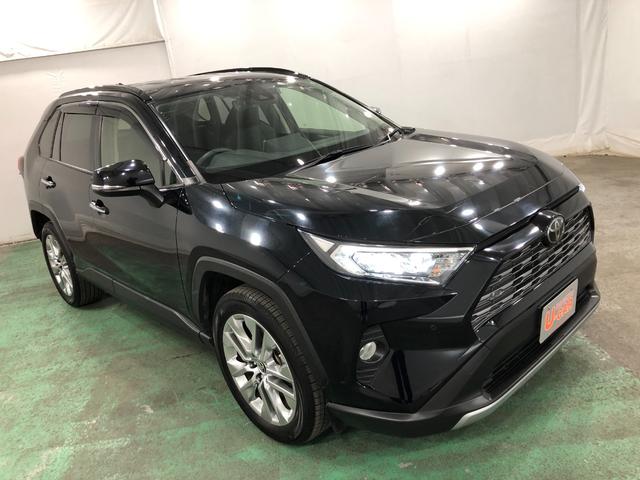 ＲＡＶ４Ｇ　Ｚパッケージ　４ＷＤ／車検整備付／走行距離３４９４２キロ１年保証距離無制限　走行距離３４９４２キロ　社外フルセグナビ　バックカメラ　ブルートゥース　純正カーペットマット　ＥＴＣ　サイドエアバッグ　ＬＥＤヘッドランプ　シートヒーター（埼玉県）の中古車