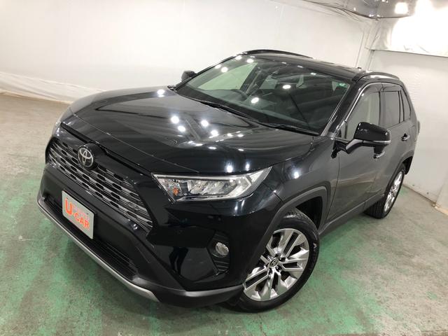 ＲＡＶ４Ｇ　Ｚパッケージ　４ＷＤ／車検整備付／走行距離３４９４２キロ１年保証距離無制限　走行距離３４９４２キロ　社外フルセグナビ　バックカメラ　ブルートゥース　純正カーペットマット　ＥＴＣ　サイドエアバッグ　ＬＥＤヘッドランプ　シートヒーター（埼玉県）の中古車