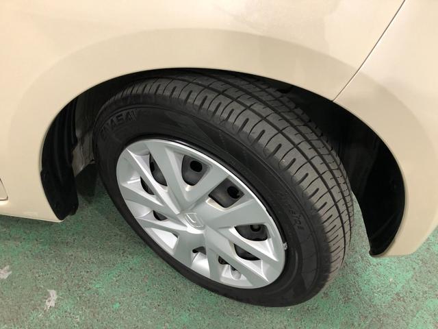 Ｎ−ＢＯＸＧ・Ｌホンダセンシング　走行２３５６３キロ／ナビ／ドラレコ一年保証・走行距離無制限　走行２３５６３キロ　ワンセグナビ　ブルートゥース　バックカメラ　ドラレコ　オートライト　ＬＥＤヘッドライト　片側電動スライドドア（埼玉県）の中古車