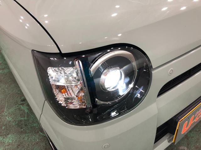 ミラトコットG SAIII 走行8547キロ/車検整備付/ナビ/ドラレコ一年保証・走行距離無制限 走行8547キロ フルセグナビ ブルートゥース 全周囲カメラ ドラレコ サイドエアバック クリアランスソナー オートライト LEDヘッドライト シートヒーター(埼玉県)の中古車