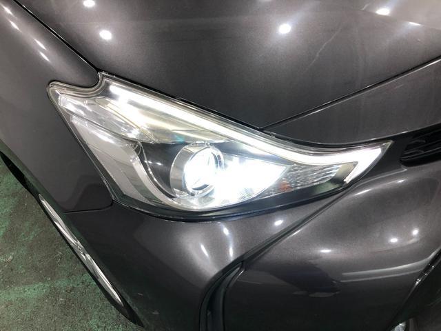 プリウスアルファG 雹害/走行66559キロ/フルセグナビ/ドラレコ1年保証距離無制限 走行距離66559キロ フルセグナビ バックカメラ ブルートゥース ドラレコ 純正マット サイドエアバッグ LEDヘッドランプ(埼玉県)の中古車