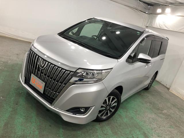 エスクァイアXi 軽雹害/走行34035キロ/ワンセグナビ/バックカメラ1年保証距離無制限 走行距離34035キロ ワンセグナビ バックカメラ ブルートゥース 純正マット オートライト LEDヘッドランプ 片側電動スライドドア プッシュボタンスタート(埼玉県)の中古車