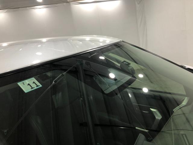 ロッキープレミアムＧ（埼玉県）の中古車