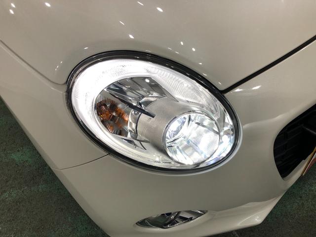 コペンセロ　走行１８９４５キロ／ナビ／バックカメラ／ドラレコ一年保証・走行距離無制限走行１８９４５キロ　フルセグナビ　ブルートゥース　バックカメラ　ドラレコ　ＥＴＣ　オートライト　ＬＥＤヘッドライト　シートヒーター　アイドリングストップ（埼玉県）の中古車