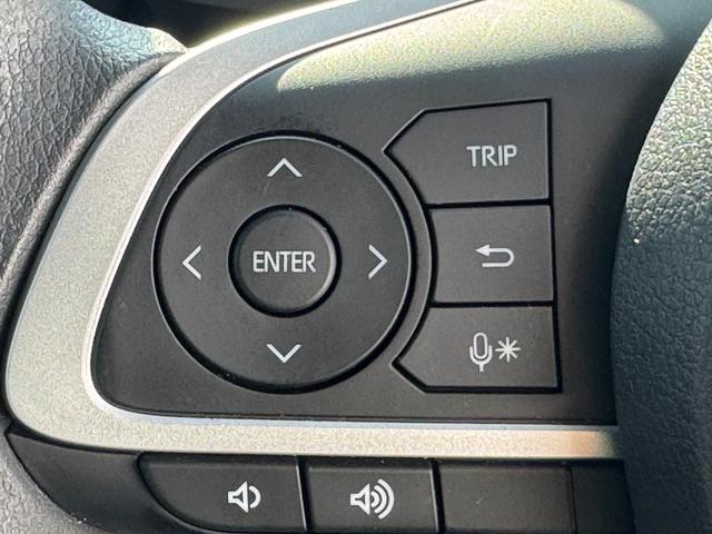 ロッキーＧ純正フルセグナビ　ドラレコ　バックモニター（福岡県）の中古車