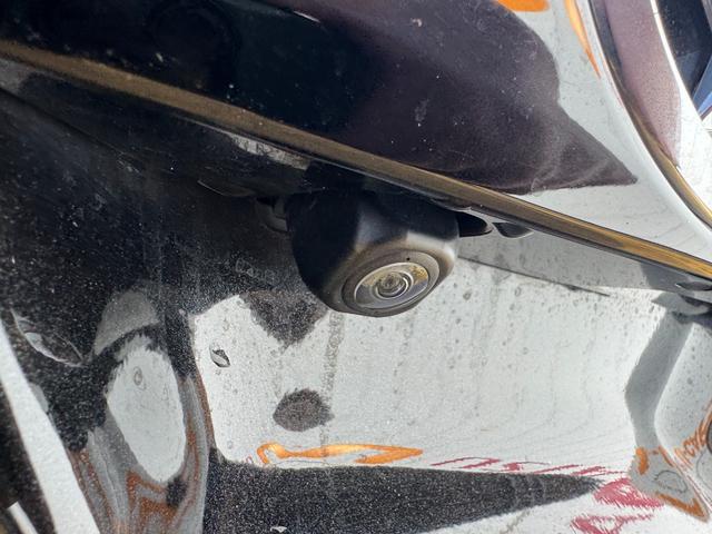 ロッキーＧ純正フルセグナビ　ドラレコ　バックモニター（福岡県）の中古車