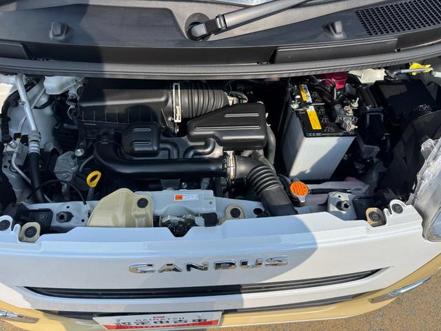 ムーヴキャンバスストライプスＧ純正フルセグナビ　ＥＴＣ　ドラレコ　バックモニター（福岡県）の中古車