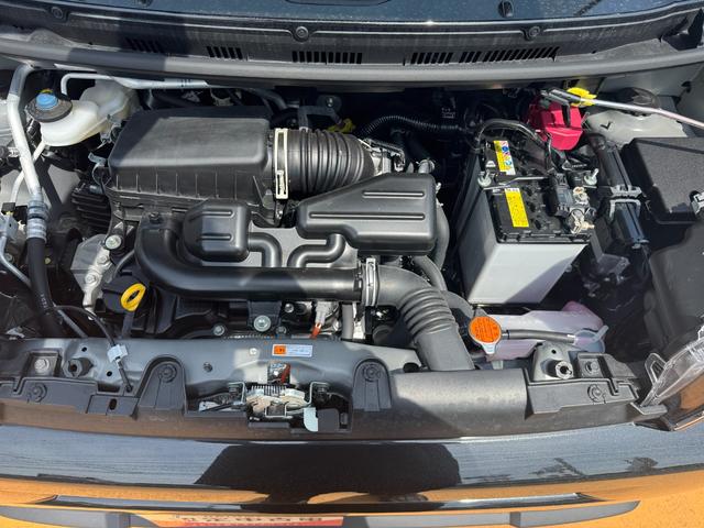 タフトＧ令和５年式　衝突低減　弊社デモカーＵＰ車（福岡県）の中古車