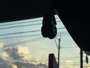 純正フルセグナビ　ドラレコ　パノラマモニター　Ｂｌｕｅｔｏｏｔｈ（福岡県）の中古車